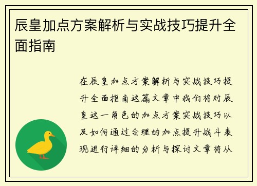 辰皇加点方案解析与实战技巧提升全面指南